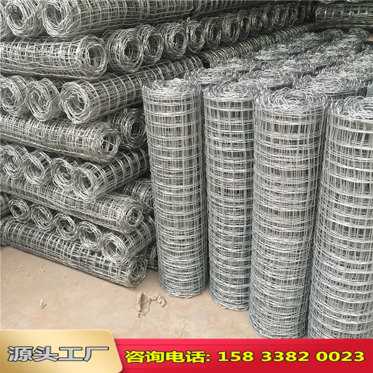 昆明礦用經緯編織網圖片2