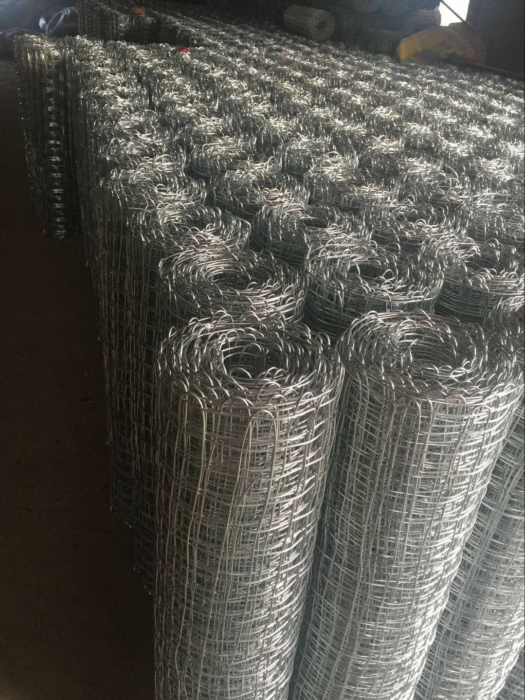 安平金屬經緯網鍍鋅煤礦經緯編織網