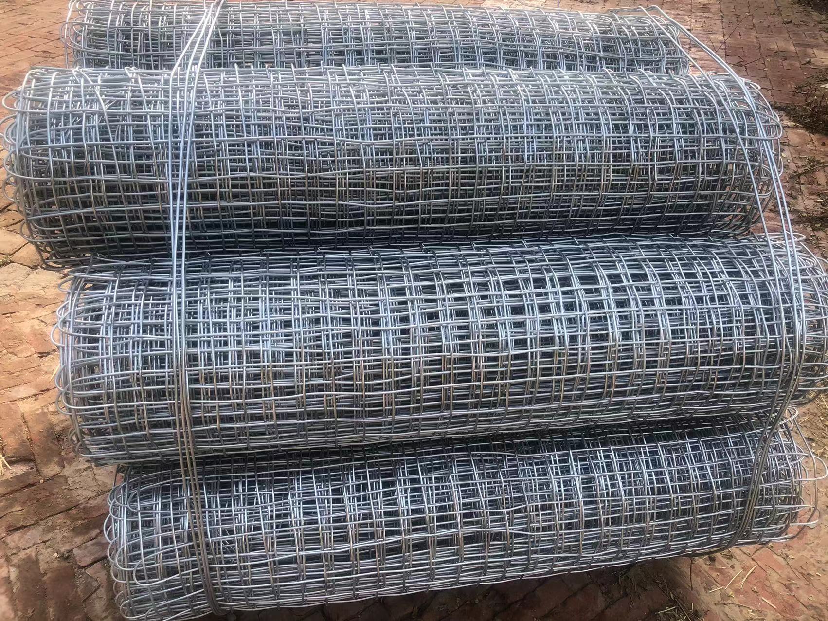 安平煤礦井下用經緯形金屬網圖片3